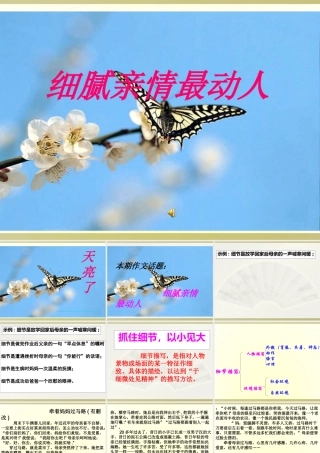 作文_细腻亲情最动人