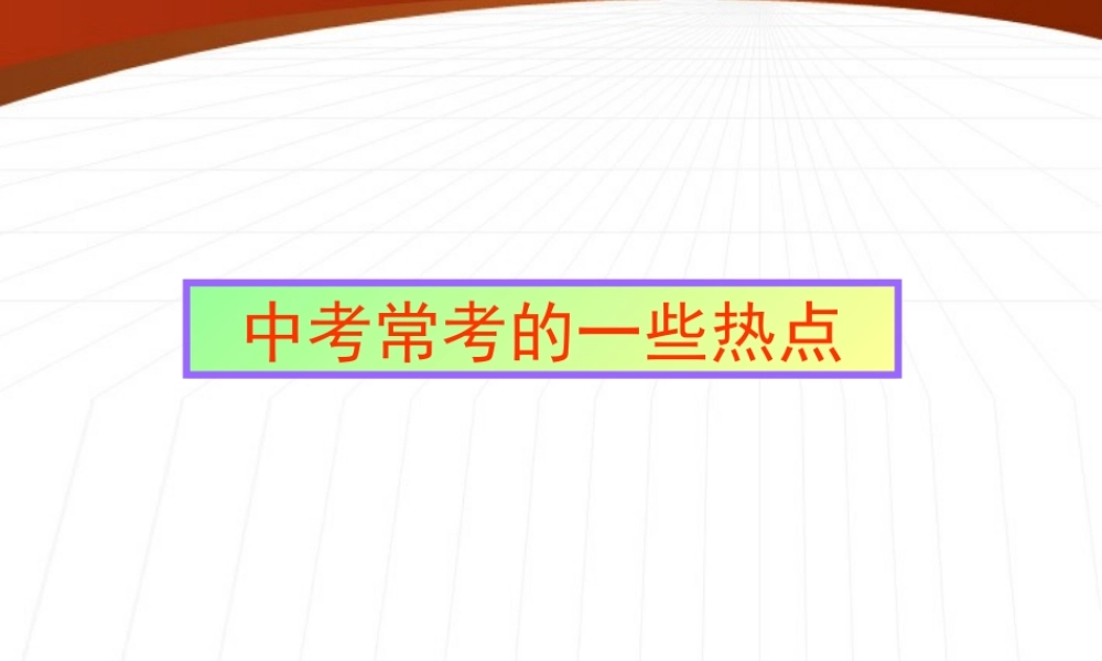 中考化学复习热点课件 沪教版 课件