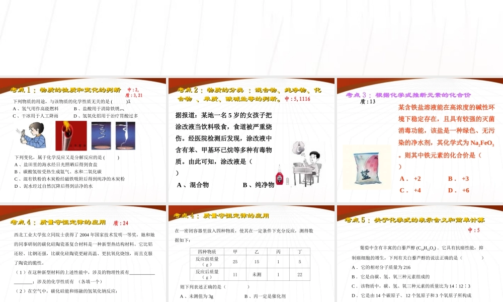 中考化学复习热点课件 沪教版 课件