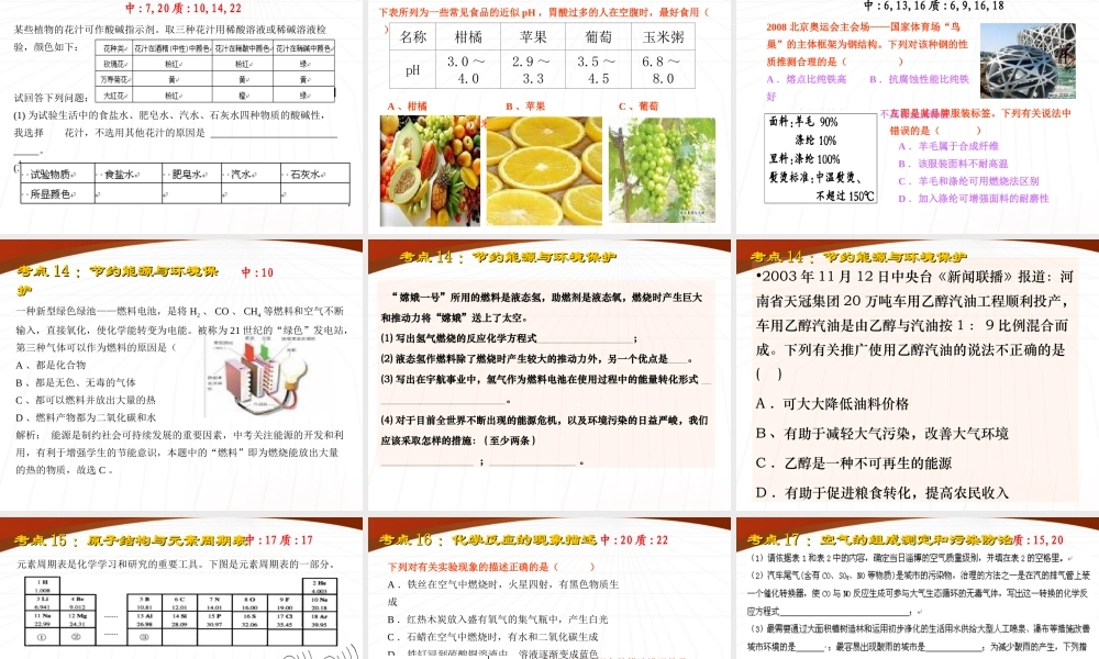 中考化学复习热点课件 沪教版 课件