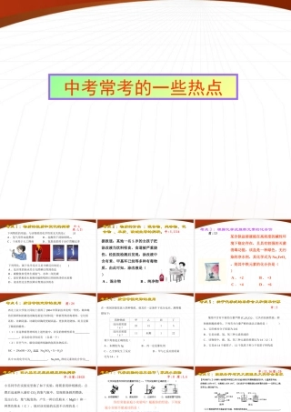 中考化学复习热点课件 沪教版 课件