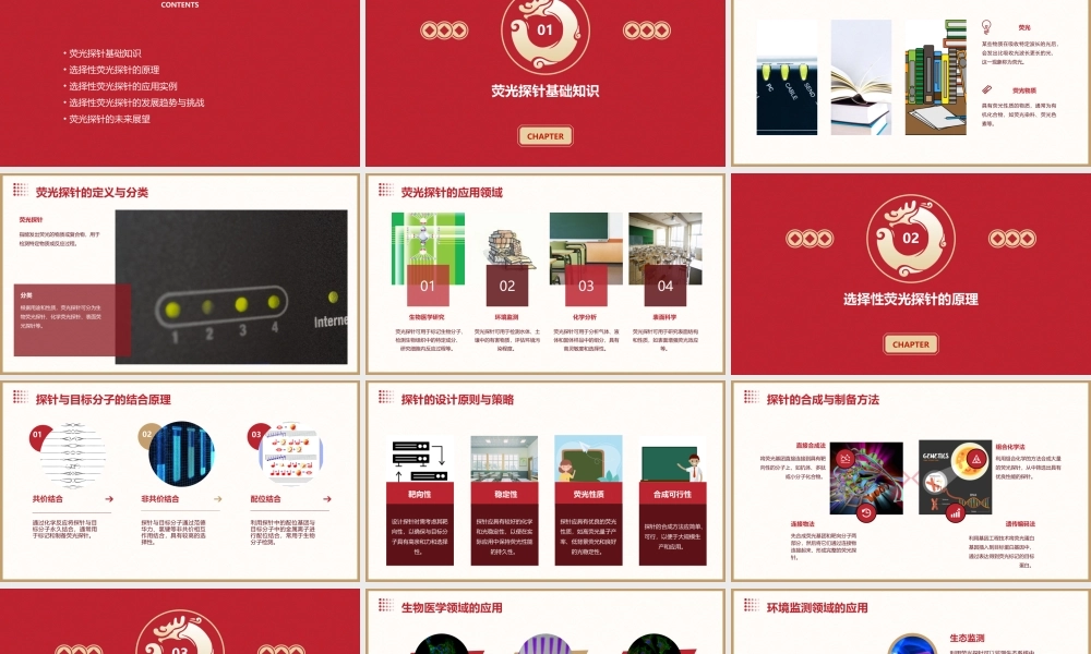 选择性荧光探针剖析课件