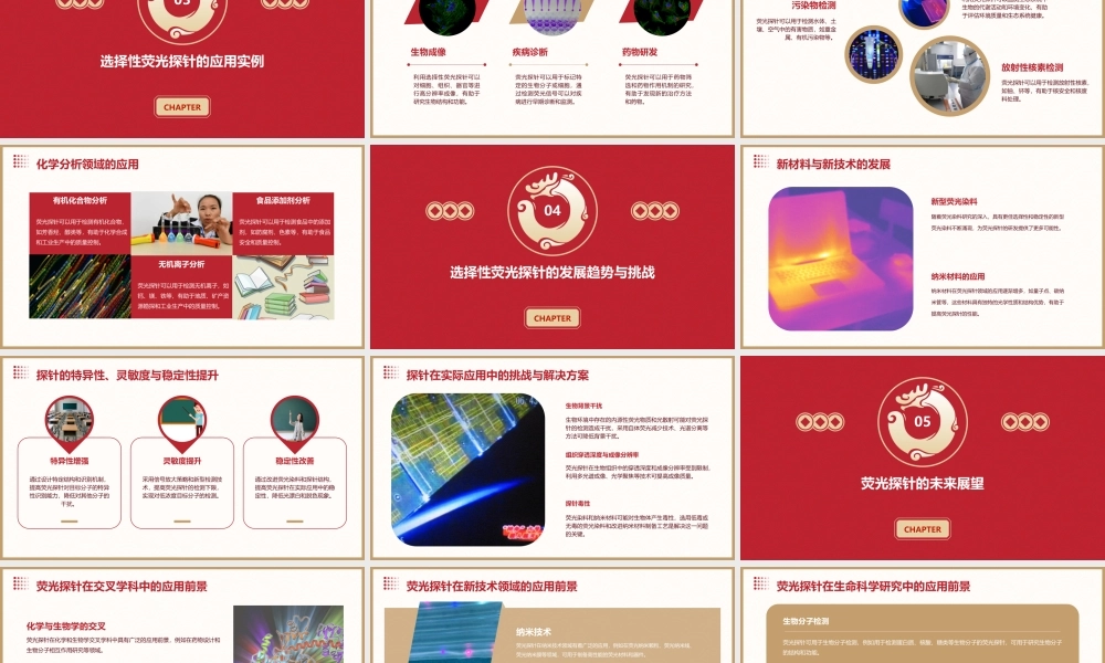 选择性荧光探针剖析课件