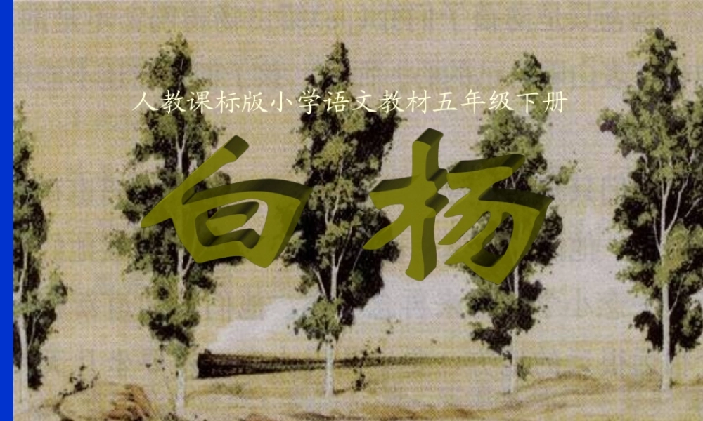 白杨教学课件(整理)