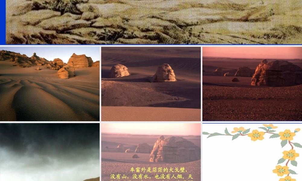 白杨教学课件(整理)