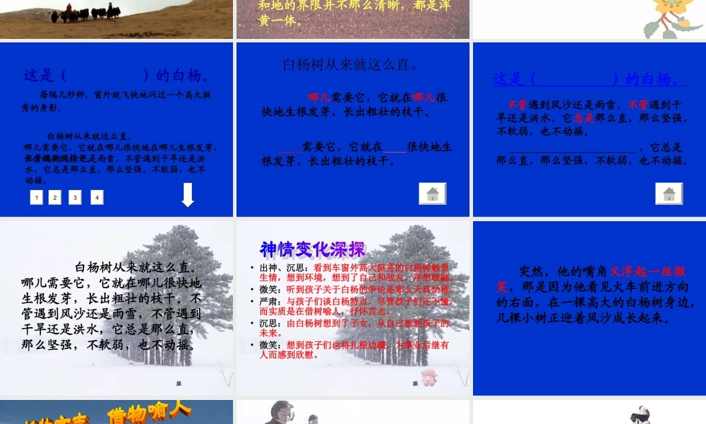白杨教学课件(整理)