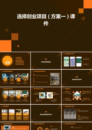 选择创业项目(方案一)课件