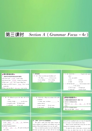 九年级英语全册 Unit 13 We re trying to save the earth(第3课时)课件 (新版)人教新目标版 课件