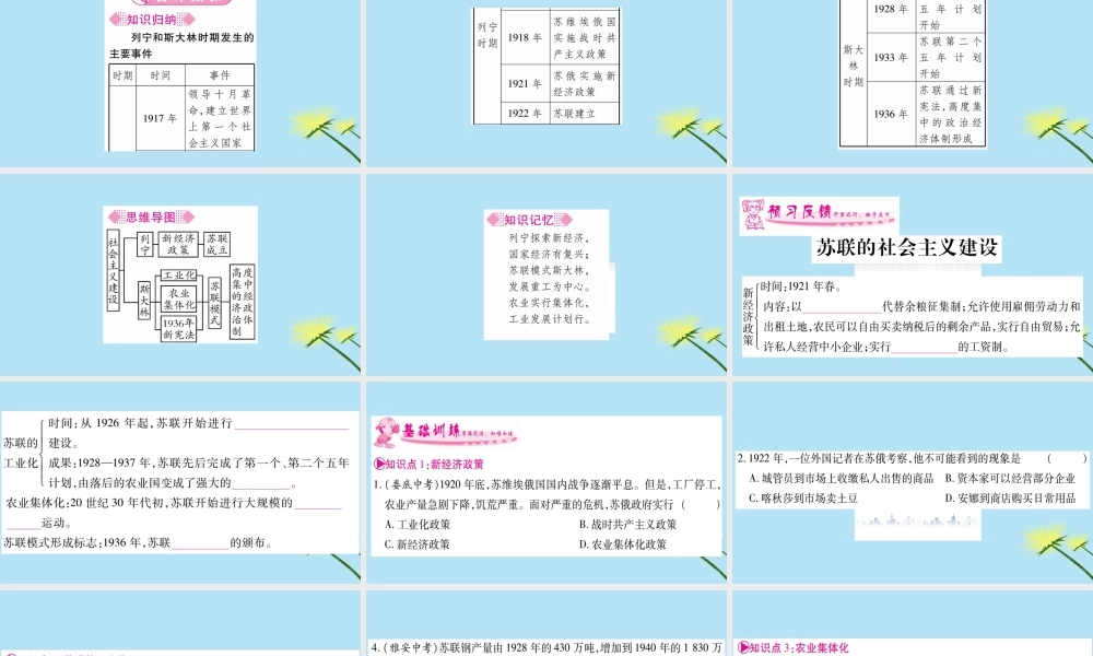 九年级历史下册 第三单元 第一次世界大战和战后初期的世界 第11课 苏联的社会主义建设习题课件 新人教版 课件