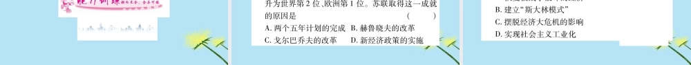 九年级历史下册 第三单元 第一次世界大战和战后初期的世界 第11课 苏联的社会主义建设习题课件 新人教版 课件