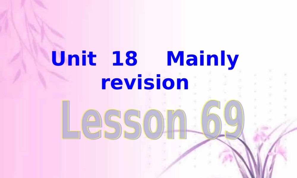 广东省佛山地区初三英语Unit18 Lesson69课件
