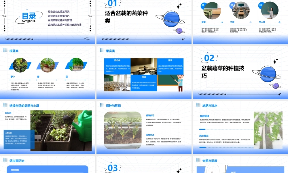 适合盆栽的蔬菜课件