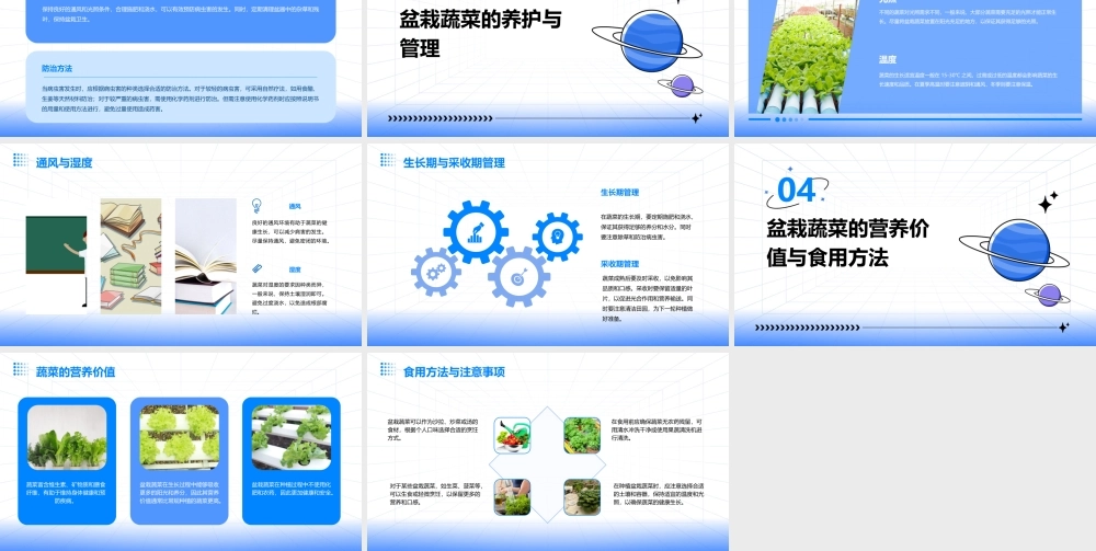 适合盆栽的蔬菜课件