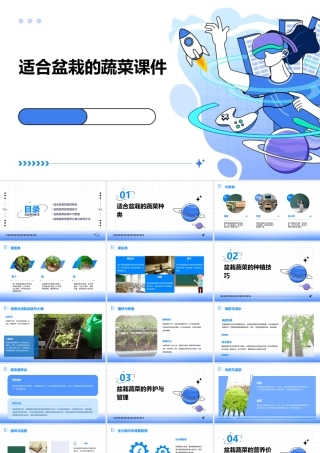 适合盆栽的蔬菜课件