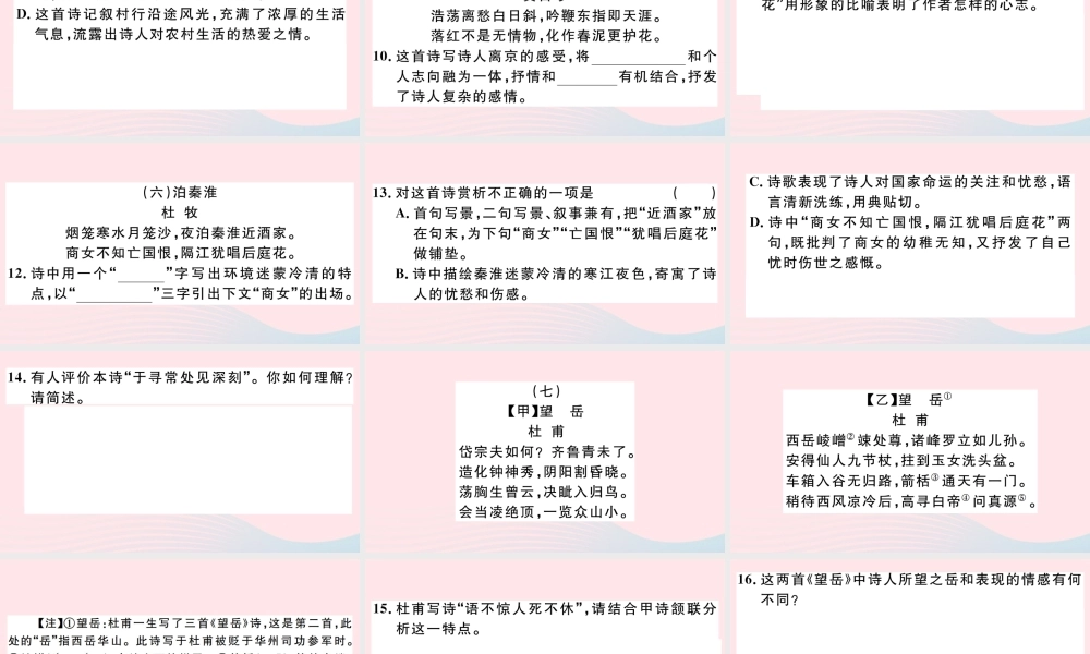 文下册 专题九 古诗词鉴赏习题课件 新人教版 课件