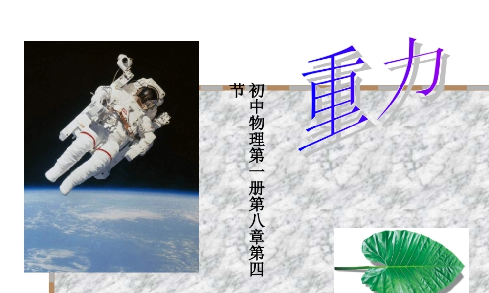 八年级物理 重力课件  课件