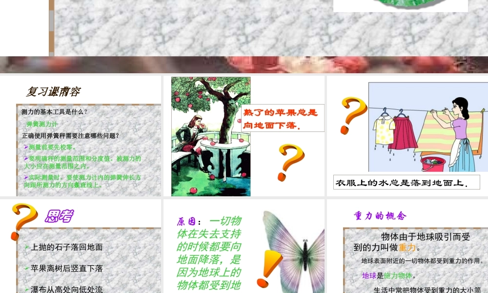 八年级物理 重力课件  课件