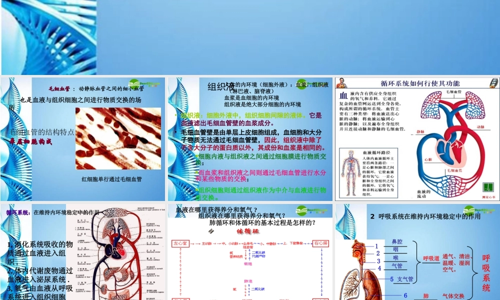 八年级生物 第一学期(试验本)第1章第二节 人体生命活动需要的环境条件 人体的内环境和外环境6内环境的稳定课件 上海版 课件