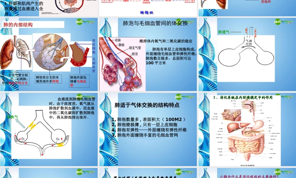 八年级生物 第一学期(试验本)第1章第二节 人体生命活动需要的环境条件 人体的内环境和外环境6内环境的稳定课件 上海版 课件
