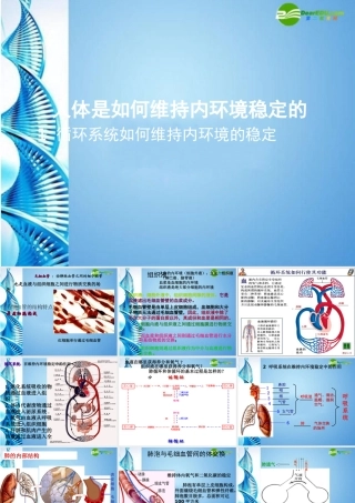 八年级生物 第一学期(试验本)第1章第二节 人体生命活动需要的环境条件 人体的内环境和外环境6内环境的稳定课件 上海版 课件