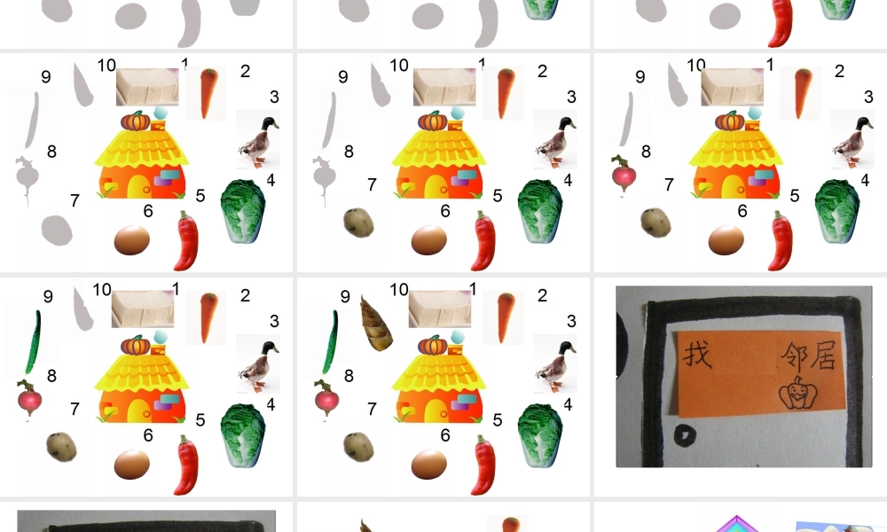 中班探索《南瓜爷爷找邻居》