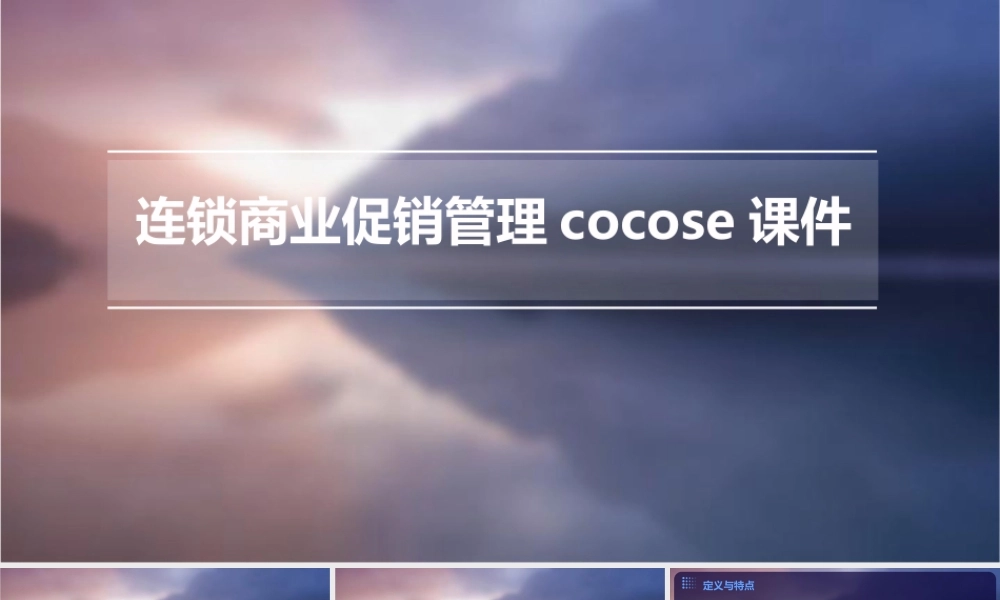 连锁商业促销管理cocose课件