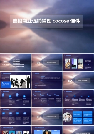 连锁商业促销管理cocose课件