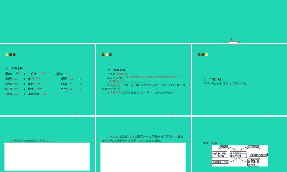 八年级语文上册 第五单元 18 雨林的毁灭 世界性灾难课件 语文版 课件