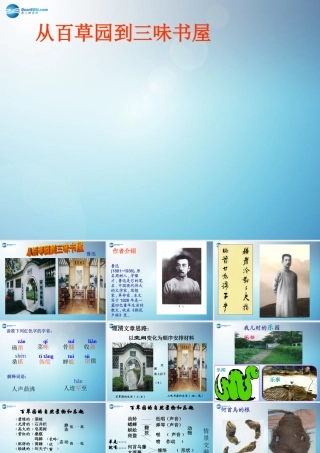 中学七年级语文下册(从百草园到三味书屋)课件 新人教版