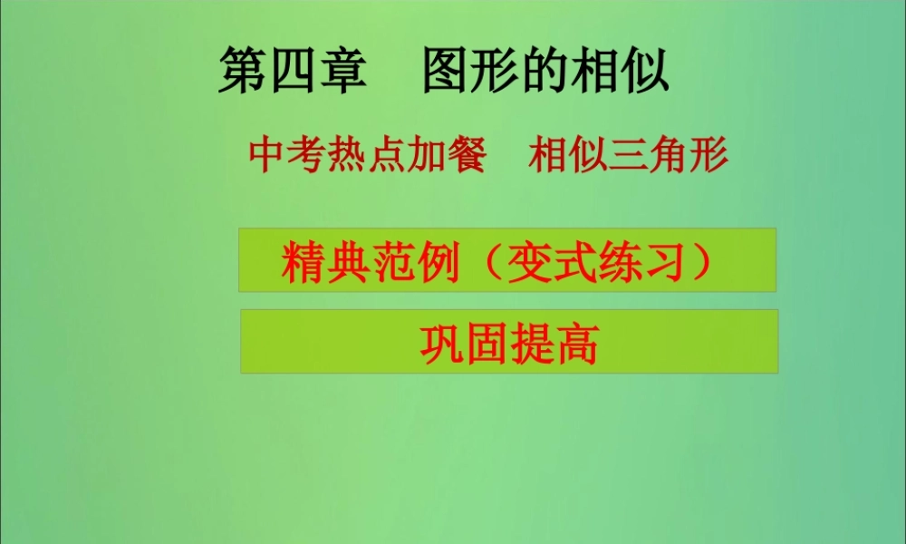 九年级数学上册 第4章 图形的相似 中考热点加餐 相似三角形(课堂导练)习题课件 (新版)北师大版 课件