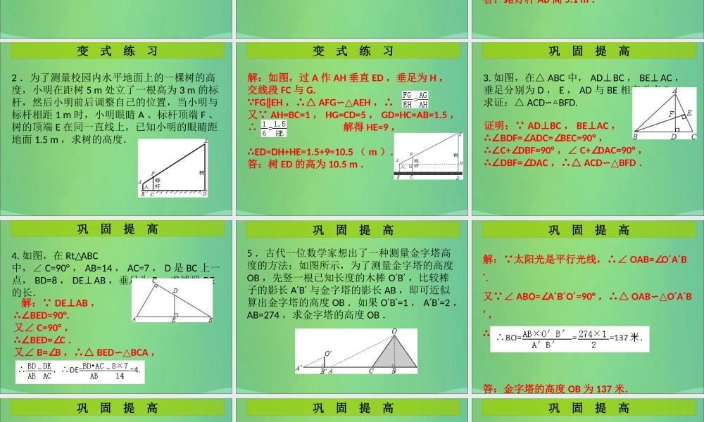 九年级数学上册 第4章 图形的相似 中考热点加餐 相似三角形(课堂导练)习题课件 (新版)北师大版 课件