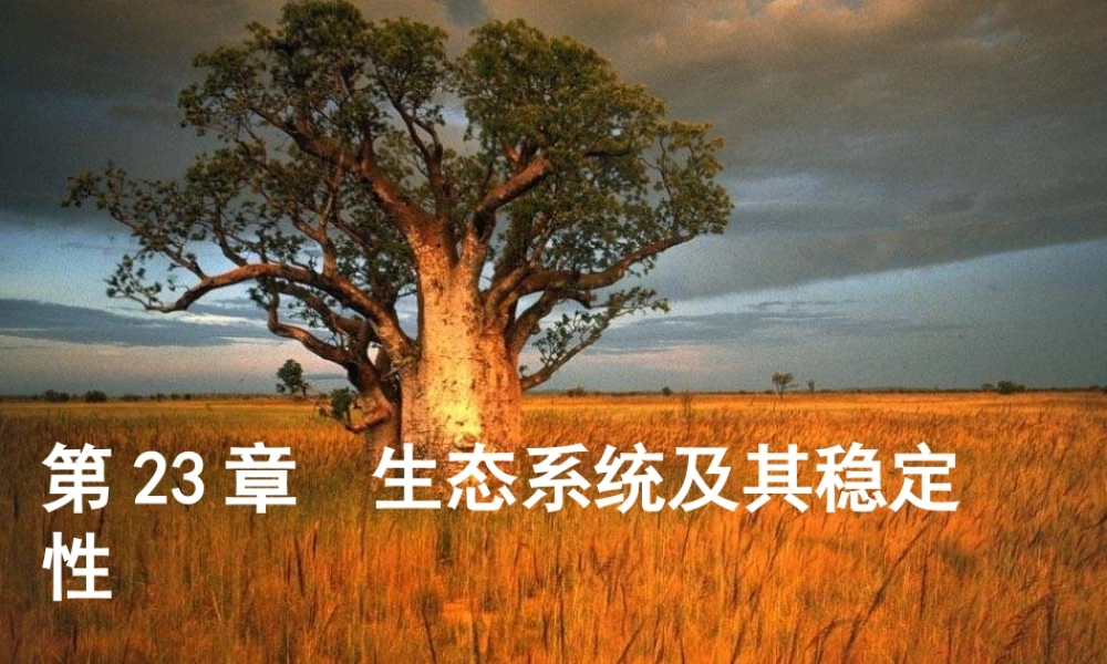 八年级生物下册 第1节 生态系统概述课件 北师大版 课件