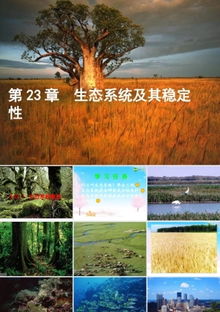 八年级生物下册 第1节 生态系统概述课件 北师大版 课件