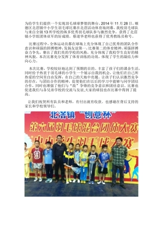 羽毛球新闻报道