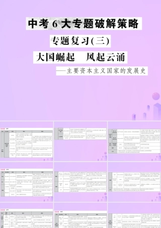 中考历史复习 专题复习(三)大国崛起 风起云涌课件