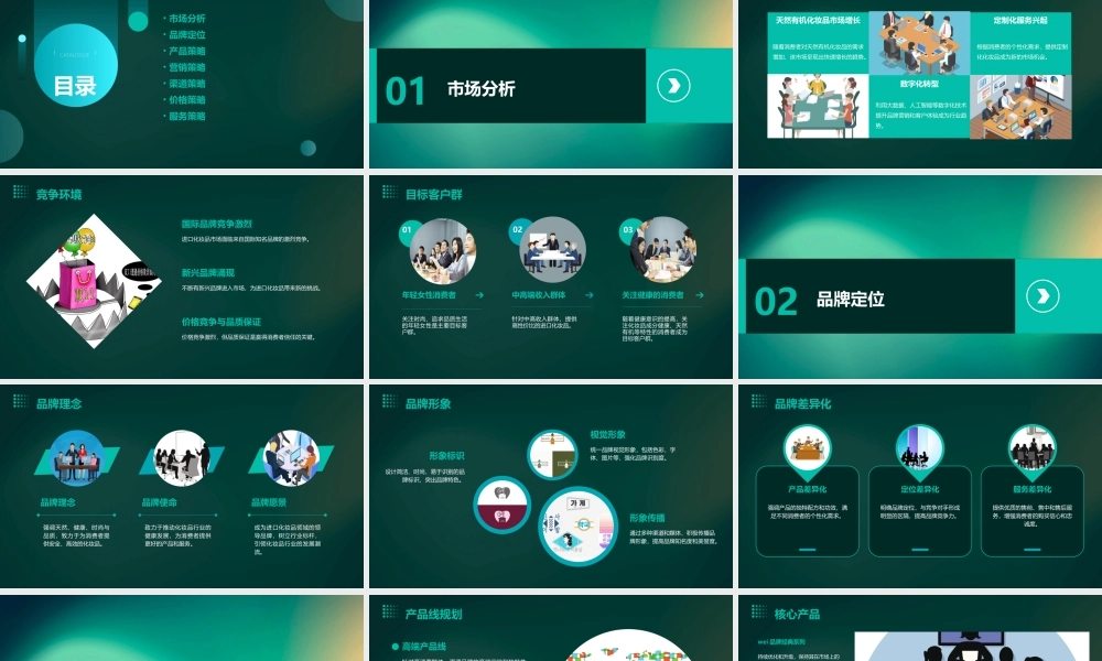 进口化妆品Wei品牌总体策略课件