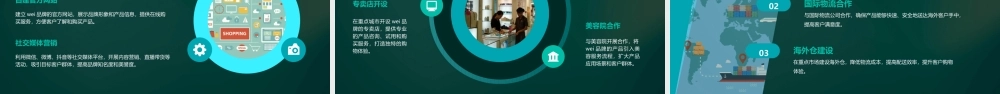 进口化妆品Wei品牌总体策略课件