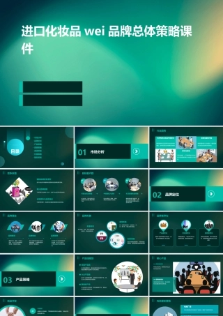进口化妆品Wei品牌总体策略课件