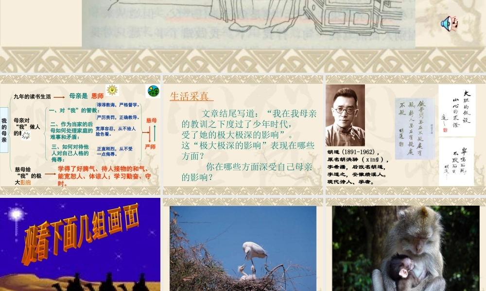 八年级语文 我的母亲课件二 八年级语文 我的母亲课件[整理两套] 八年级语文 我的母亲课件[整理两套]