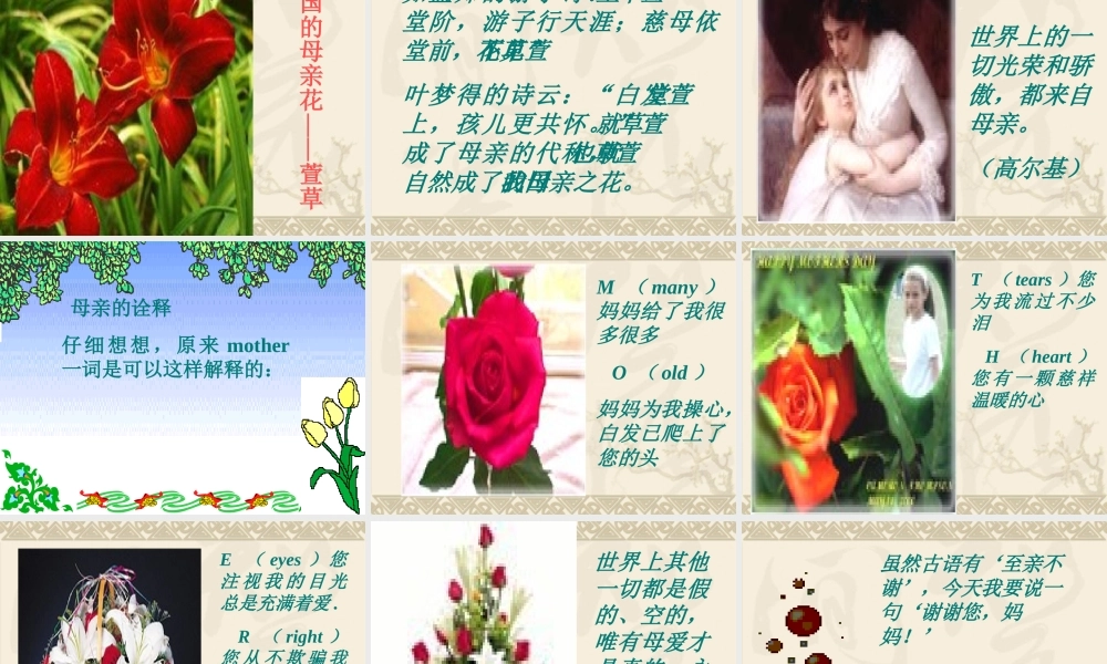 八年级语文 我的母亲课件二 八年级语文 我的母亲课件[整理两套] 八年级语文 我的母亲课件[整理两套]