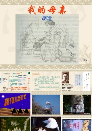 八年级语文 我的母亲课件二 八年级语文 我的母亲课件[整理两套] 八年级语文 我的母亲课件[整理两套]