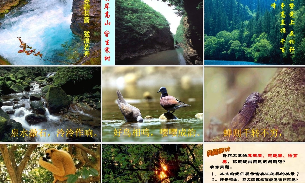 八年级语文下册第五单元之(与朱元思书)课件 人教新课标版 课件