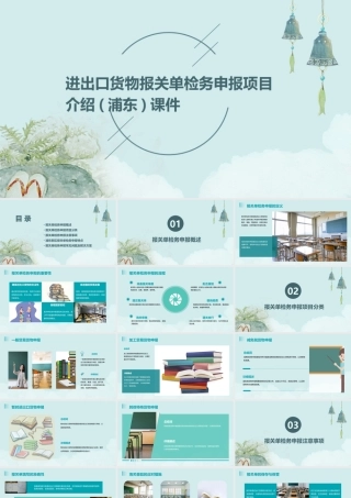 进出口货物报关单检务申报项目介绍(浦东)课件