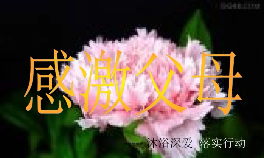 八年级政治课件感恩父母 人教版 课件