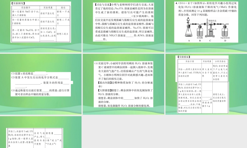 中考化学总复习 中考6大题型轻松搞定 题型复习(四)实验探究题之四 实质性探究课件