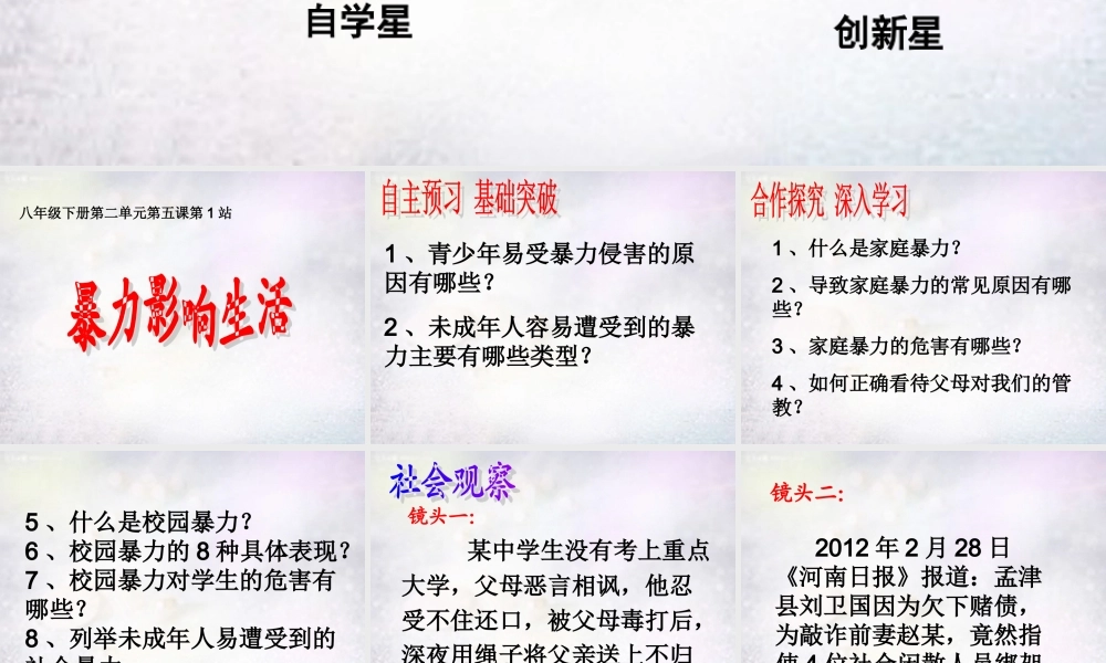 八年级政治下册 5.1 暴力影响生活课件2 北师大版 课件