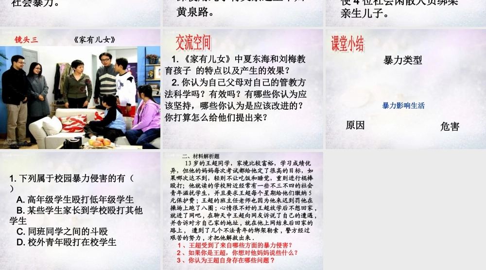 八年级政治下册 5.1 暴力影响生活课件2 北师大版 课件