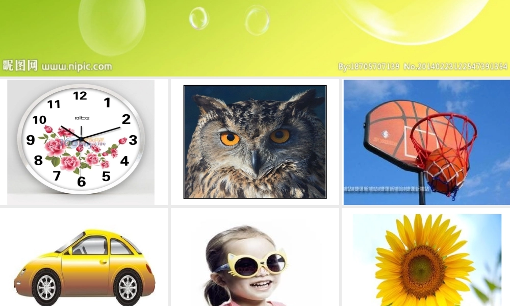 中班科学圆圆的东西