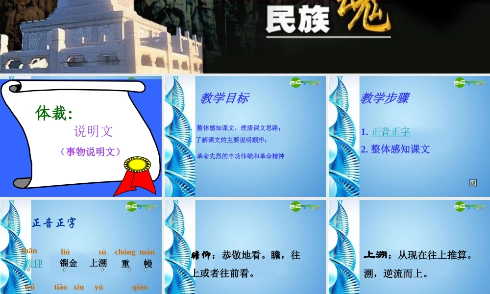 七年级语文下册(人民英雄永垂不朽)课件 苏教版 课件