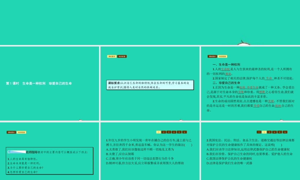 八年级政治上册 第二单元 感悟生命 珍爱生命 第二节 珍爱我们的生命 第1 2框 生命是一种权利 珍爱自己的生命课件 湘教版 课件